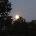 glitterykryptonitestarfish avatar