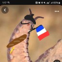 gloom-and-doom-in-my-room avatar