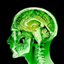 glueeaterstudio avatar