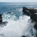 glutenfreevodka avatar