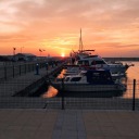 glutensizbira avatar