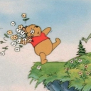 gnawingatmywalls avatar