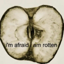 gnijacymotyl3k avatar