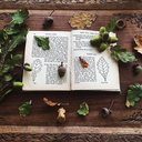 gnome-studies avatar