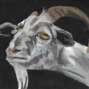 goatscanjump avatar