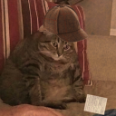 goblin-raccoon avatar