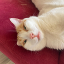 goddessofcigarette avatar