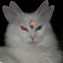 goddessofedenlight avatar