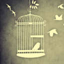 goes-whump-in-the-night avatar