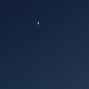 goldd-oceanss avatar