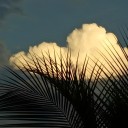 goldencloudgazer avatar