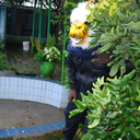 goldenlionpower avatar