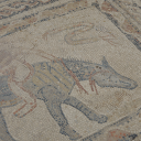 goldenpolaroid avatar