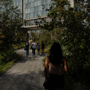 goldentourage avatar