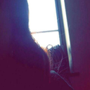 gomi-chan-san-blog avatar