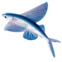 goncharovpussy avatar