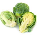 gonzalos-eyebrow avatar