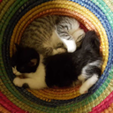 good-byerealityimgone avatar