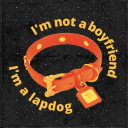 goodboysonder avatar