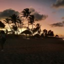 goodbyealoysius avatar