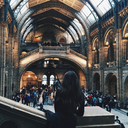 goodnightlittlebaby avatar