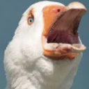 goosersellpapes avatar