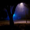 gordonfreeguy avatar