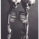 gorey-details avatar