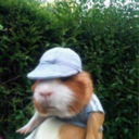 gorlslikegorls avatar