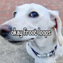 goshathesomething avatar