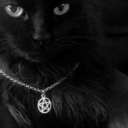 gothcatworld avatar