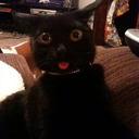 gottaberandomthings avatar