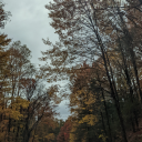 gottagolisten avatar