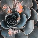 gottaloveships avatar