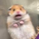 gottin-des-krie avatar