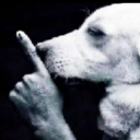 grabattheseballsss avatar