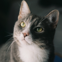 graceyourpresence avatar