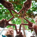 grainofsaltadvice avatar