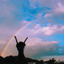 grandeurdelanuit avatar