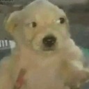 grandpasarmchair avatar