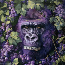 grapeapes avatar