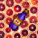 grapefruit-wine avatar