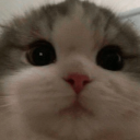 grass-toucher avatar