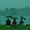 grasslabyrinth avatar