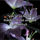 grateful-melancholic avatar