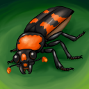 gravebeetle avatar