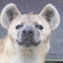 gravityskeleton98 avatar