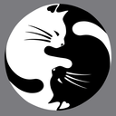 gray-yin-yang avatar