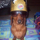 greedy-insanity avatar