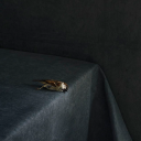 greenastroblink avatar